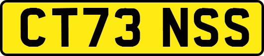 CT73NSS