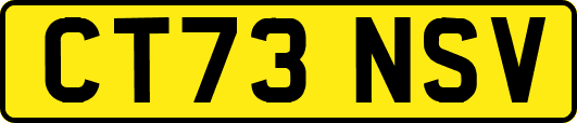 CT73NSV