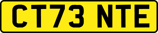 CT73NTE