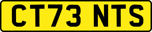 CT73NTS