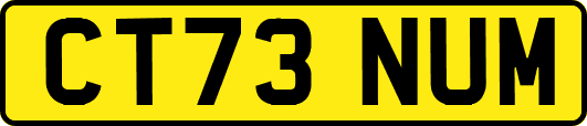 CT73NUM