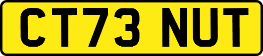 CT73NUT
