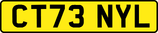 CT73NYL