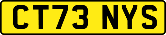 CT73NYS