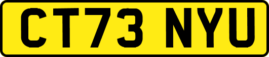 CT73NYU