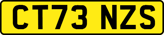 CT73NZS