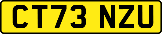 CT73NZU