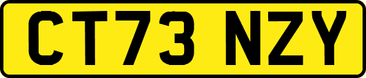 CT73NZY