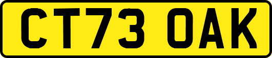 CT73OAK