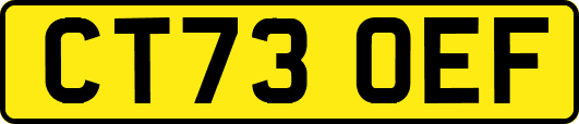 CT73OEF