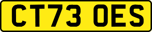 CT73OES