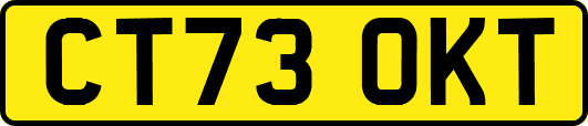 CT73OKT