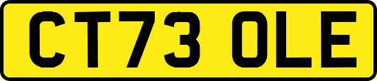 CT73OLE