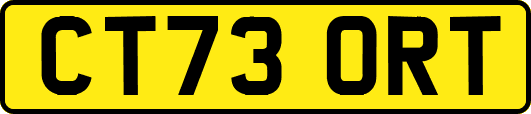 CT73ORT