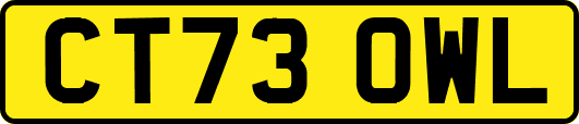 CT73OWL