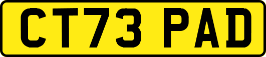 CT73PAD
