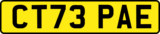 CT73PAE