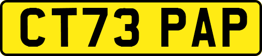 CT73PAP