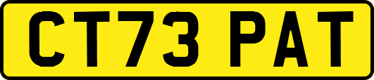 CT73PAT