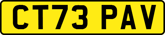 CT73PAV