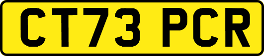 CT73PCR