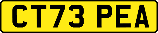 CT73PEA