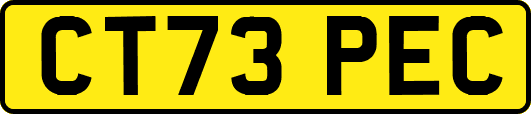 CT73PEC