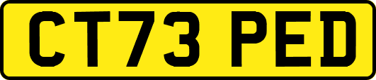 CT73PED