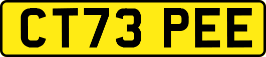 CT73PEE