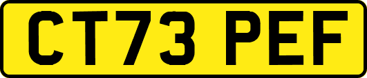 CT73PEF