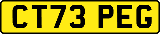 CT73PEG