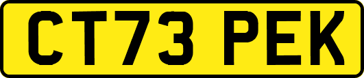 CT73PEK