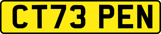 CT73PEN