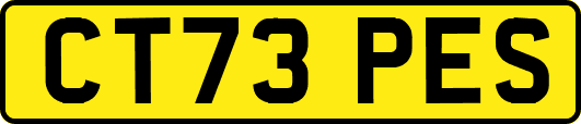 CT73PES