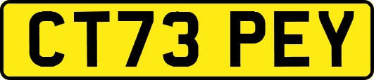 CT73PEY