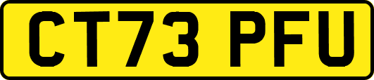 CT73PFU