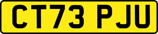CT73PJU