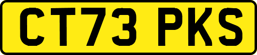 CT73PKS