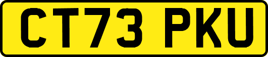 CT73PKU