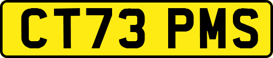 CT73PMS