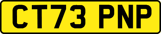 CT73PNP