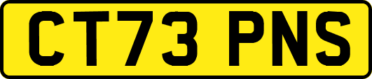 CT73PNS