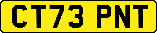 CT73PNT