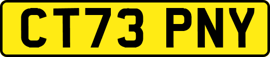 CT73PNY