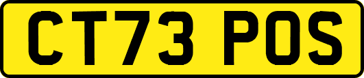 CT73POS