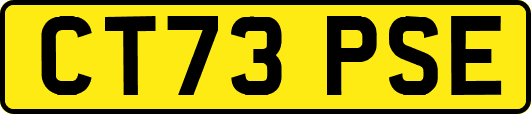 CT73PSE