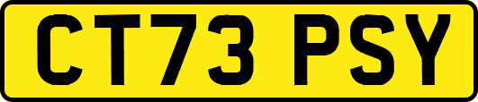 CT73PSY