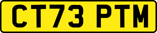 CT73PTM