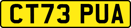 CT73PUA