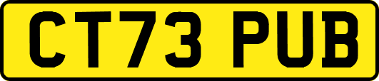 CT73PUB